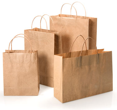 Brown Kraft Paper Bags with Twisted Paper Handle | US Box Corp