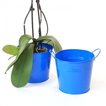 6 1/2in. Blue Painted Pail w/Side Handles