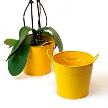 6 1/2in. Goldenrod Painted Pail w/Side Handles