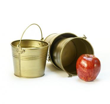 5 in. Round Gold Painted Handle Pail